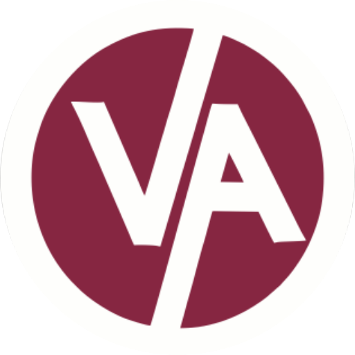 Vijay Academy logo