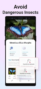 Inseto de imagem: identificador de bug Premium MOD APK 3