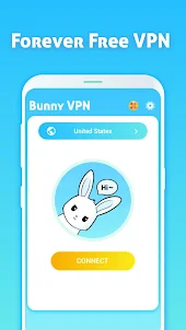 Bunny vpn - Fast & Secure VPN