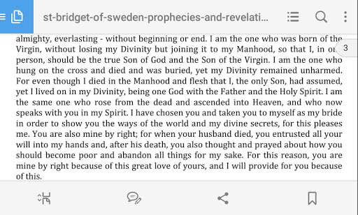 Saint Bridget Revelations