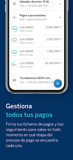 BBVA Pivot Screenshot 6