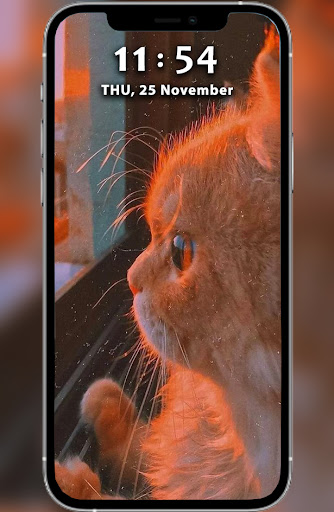 Cat Wallpaper HD Screenshot 3 - AppWisp.com