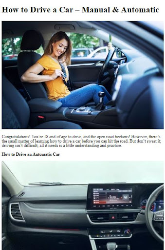 How to Drive a Car Screen 3