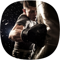 Image de l'icône Guide des compétences de boxe