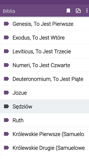 Bible in Polish Screen 2
