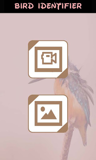 Automatic Bird Identifier Screen 2