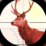 Deer Expert Shooter icon