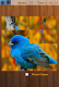 screenshot of Birds Jigsaw Puzzles Game