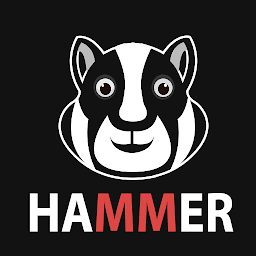 Hammer Hamtser VPN : Proxy: Download & Review