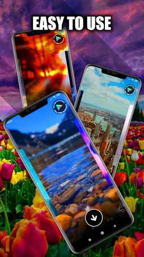 Tulip Wallpaper Live HD/3D/4K Screen 2