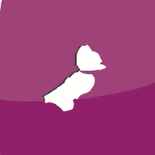 J19nu logo