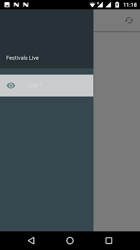 Festival Live Screen 2