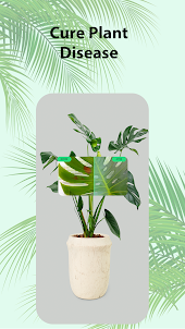 Plant Identifier & Plant Care