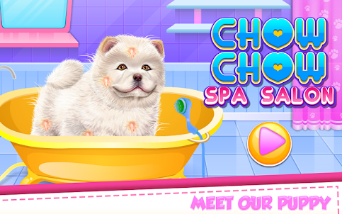 Chow Chow Puppy Spa Salon