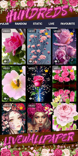 pink rose wallpaper Screenshot 3 - AppWisp.com