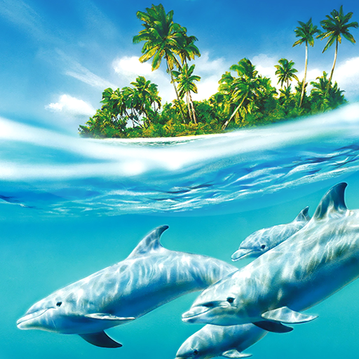 Delfines Fondos Animados - Apps en Google Play