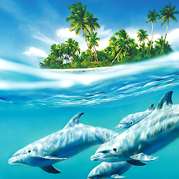 Dolphin Live Wallpaper