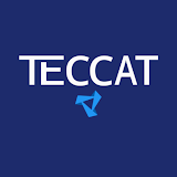 Next TecCat icon