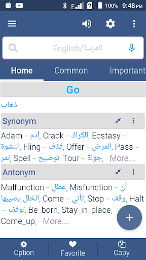English To Arabic Dictionary L Screen 3