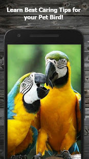 Pet Bird Care Guide 1.5 APK + Mod (Unlimited money) untuk android