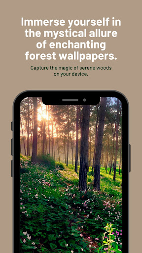 Enchanting Forest Wallpaper