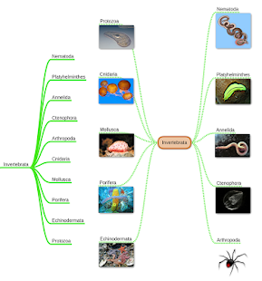 miMind - Easy Mind Mapping Capture d'écran