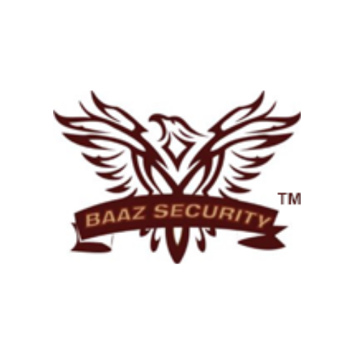 BAAZ Security  Icon