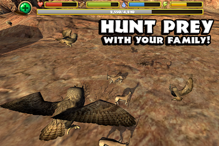 Screenshot image