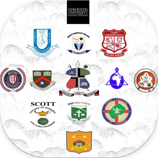 Tertiary Lesotho  Icon