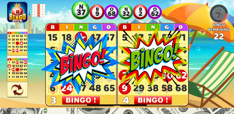 Bingo Live Games