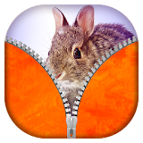 Cute Bunny Zipper Lock Screen icon