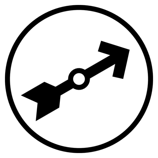Spin For It logo