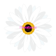 Flower Arrangement_3 Download on Windows