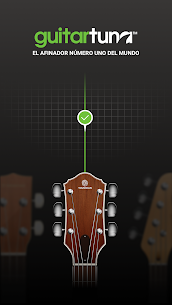 Guitar Tuna 1