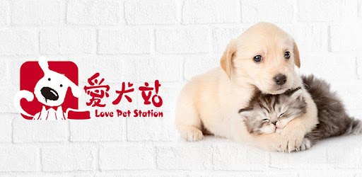 Get love pets