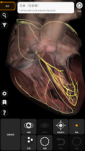 解剖学- 三维图谱- Google Play 上的应用