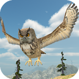 Owl Bird Simulator icon