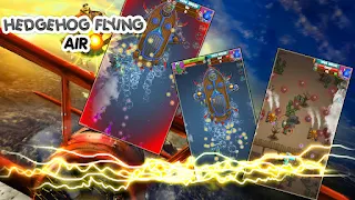 Super Hedgehog Flying - Screenshot 3