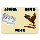 Animal and Bird Sounds icon