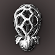 iFunch - Mushrooms identification and catalog