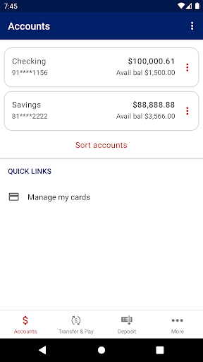 American Bank of Freedom Screen 3