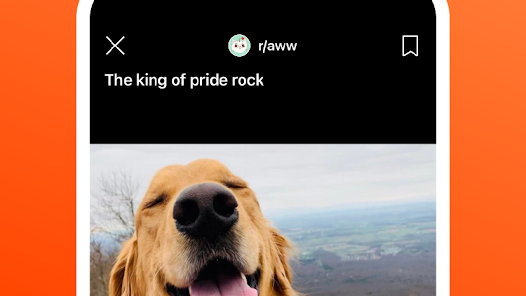 Reddit APK v2022.33.0 MOD (Premium Unlocked) Gallery 3