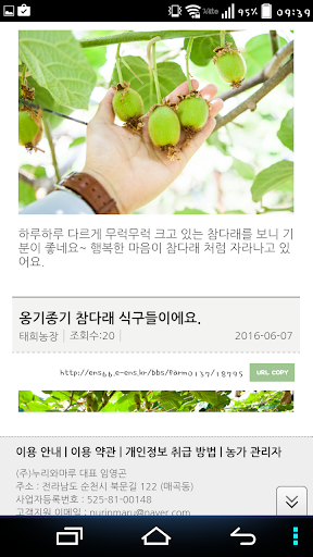 태희농장 Screen 3