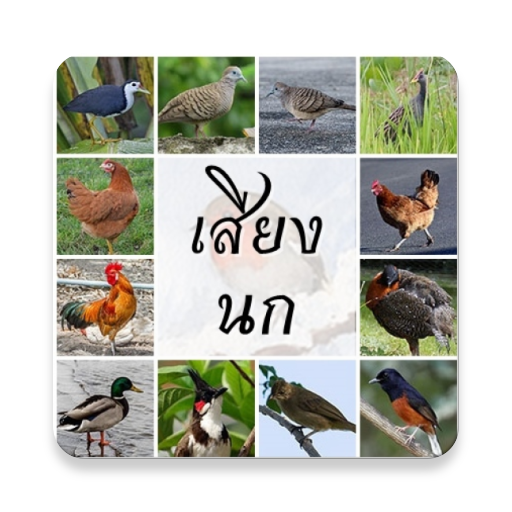 เสียงนกต่อ เสียงไก่ต่อ logo