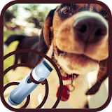 Training Dog Whistle:dog sound icon