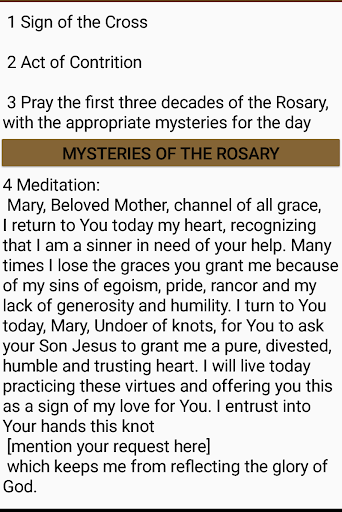 Mary Undoer of Knots Novena Screen 2