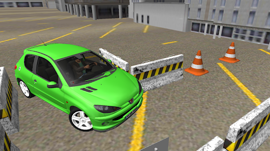 206 Driving Simulator