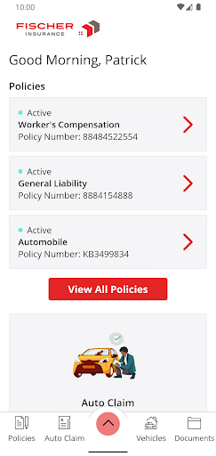 Fischer Insurance Online Screen 2