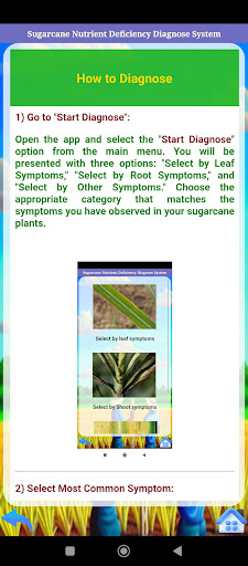Sugarcane NDDS Screen 2