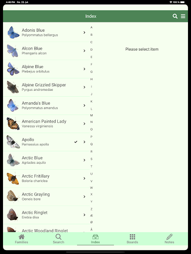 BNE - Butterflies of N. Europe